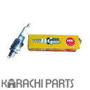 NGK Plug